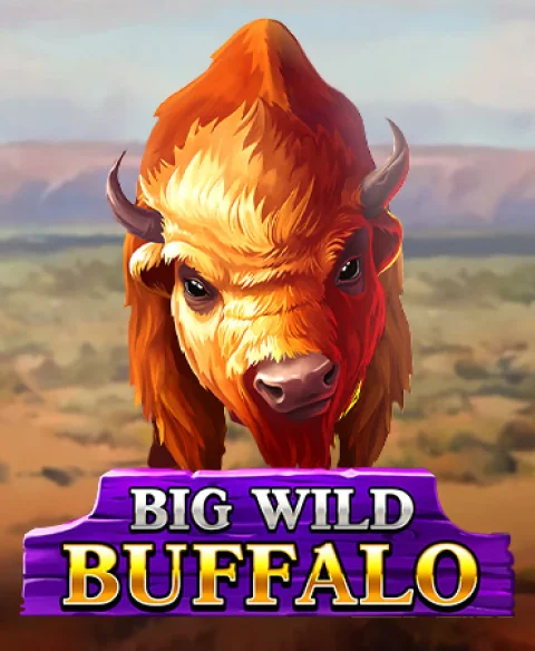 Play Big Wild Buffalo at Agent Spins Casino